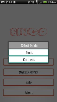 Desi Bingo - MultiPlayer Game游戏截图2