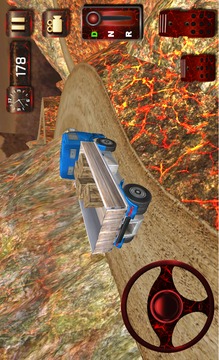 Dirt Road Trucker 3D游戏截图3