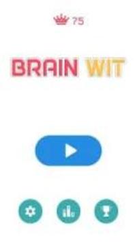 Brain Wit : Training Puzzle On游戏截图5