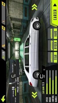 Park Limousine: Realistic Limo Parking Simulator游戏截图5