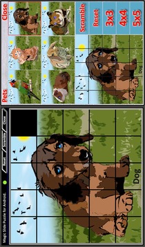 Magic Slide Puzzle Free游戏截图4