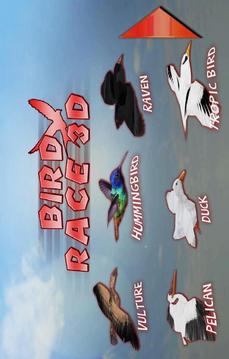 Bird Race 3D游戏截图2