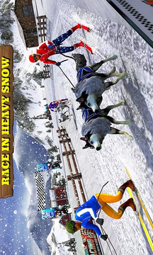 Sled Dog Racing 2017游戏截图1