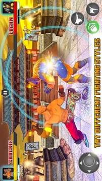 Real Superhero Kung Fu Fight Champion游戏截图3