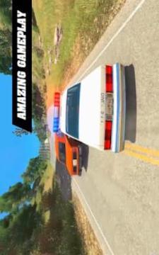 POLICE VS THIEF : City Estate Cars Driving Game 3D游戏截图4