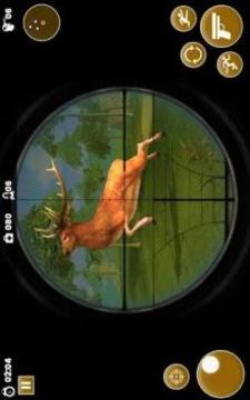 Bear Hunting Game游戏截图3