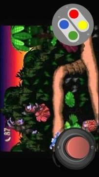 SNES Dnkey Kong Adventure游戏截图1