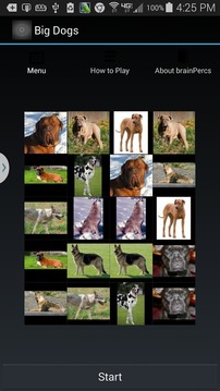 Match Cats and Dogs Free游戏截图3