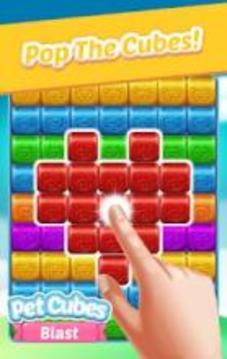 Pet Cubes Blast游戏截图4