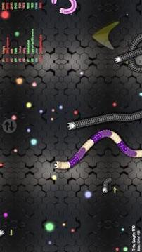 Slink Slither Worms游戏截图1