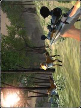 Real Sniper Hunter : Wild Jungle Animal Shooting游戏截图1