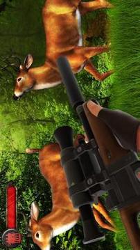 Deer Hunting American Sniper Shooting Game 2018游戏截图4