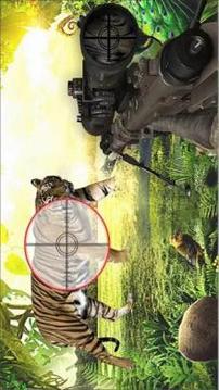 Animal shooting hunter game游戏截图1