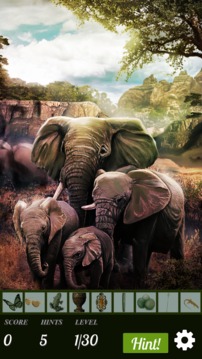 Hidden Object - African Adventure游戏截图1