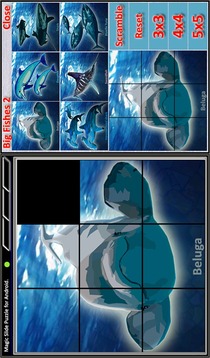 Magic Slide Puzzle B Fishes 2游戏截图2