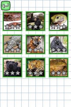 German & Puzzles: Animals游戏截图3