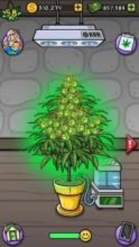 Pot Farm: Grass Roots游戏截图3