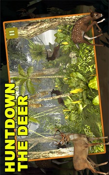 Jungle Deer Hunting游戏截图3