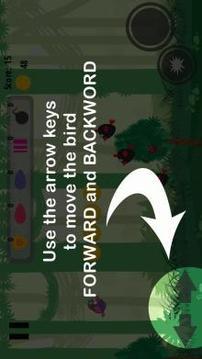 Bird Flap游戏截图1