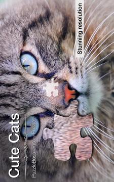Cute Cats Jigsaw Puzzles游戏截图1