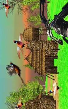 Pheasant Hunting: Archery Birds Hunter 2018游戏截图1