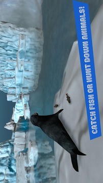 Seal Survival Simulator 3D游戏截图2