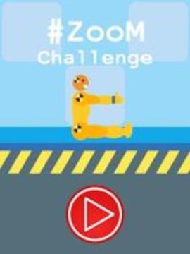 Zoom Challenge游戏截图4