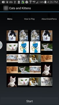 Match Cats and Dogs Free游戏截图5