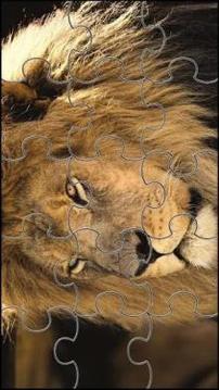 Lion Jigsaw Puzzle游戏截图4