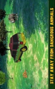 Jungle Safari Survival : Jungle driving game游戏截图1