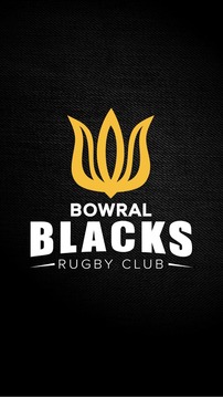 Bowral Rugby Union游戏截图1