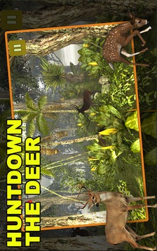 Jungle Deer Hunting游戏截图2