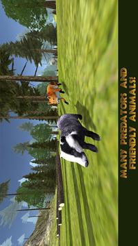 Badger Simulator - Animals Wild Life 3D游戏截图3