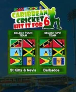 Hit For Six - Caribbean Cricket游戏截图4