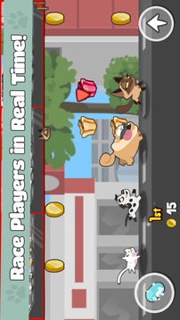 Pets Race游戏截图1