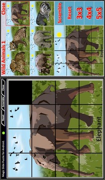 Magic Slide Puzzle W.Animals 1游戏截图4