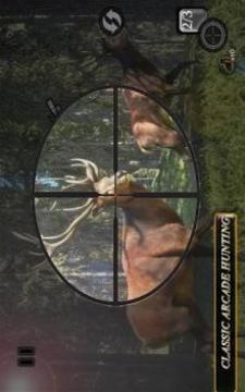 Sniper Animal Shooting 3D:Wild Animal Hunting Game游戏截图5