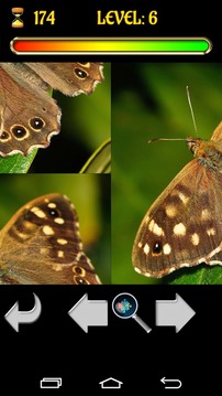 Puzzle Butterfly 2015 Free游戏截图3