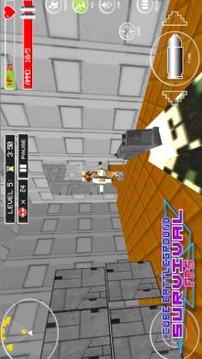 Cube Battleground Survival FPS游戏截图5