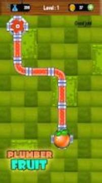Plumber Fruit Pipelines Puzzle游戏截图3