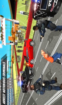 NY Police Patrol: Crime City Gangster Car Chase游戏截图4