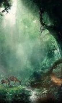 Fantasy Mystical Jigsaw Puzzles游戏截图4