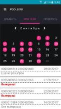 pool8.ru游戏截图4