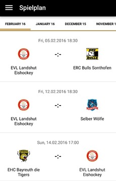 EVL Landshut Eishockey游戏截图2