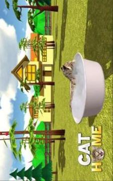 Cat Home : Kitten Daycare & Kitty Care Hotel游戏截图2