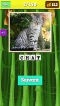 safari animals quiz游戏截图5