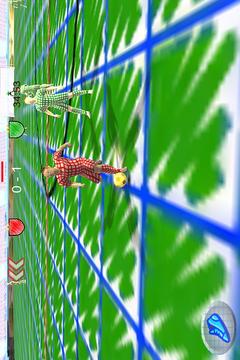 Brazil Doodle 3D Soccer游戏截图3