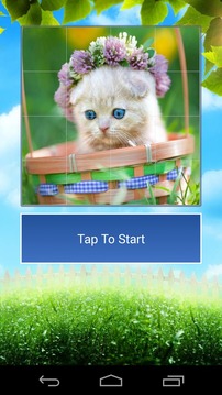 Cats Funny Puzzle游戏截图5