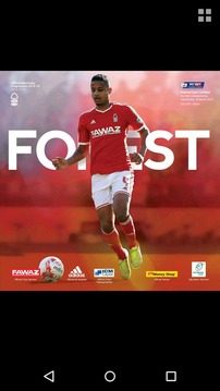 Nottingham Forest FC游戏截图1