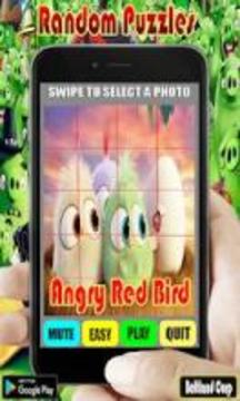 Random Angry Red Bird Puzzles游戏截图5